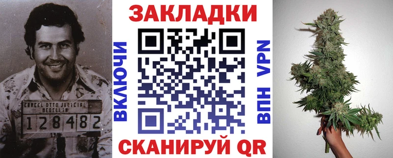 Где найти наркотики Курчалой ГАШ  БУТИРАТ  Псилоцибиновые грибы  Меф мяу мяу  A-PVP  COCAIN 