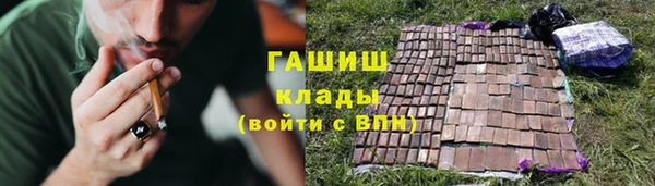 сатива Курчалой