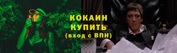 трава Кукмор