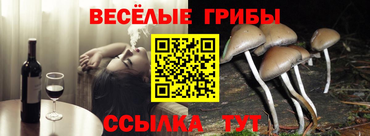 Псилоцибиновые грибы мицелий Курчалой